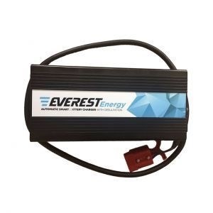 Автоматическое зарядное устройство EVEREST Energy EVE-24-15 