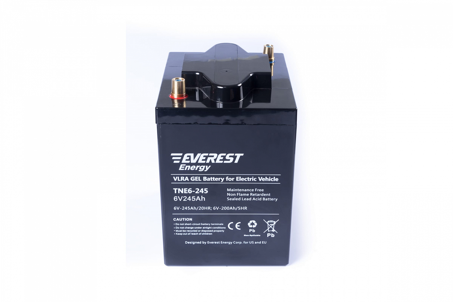 Аккумуляторная батарея EVEREST Energy TNE 6-245 