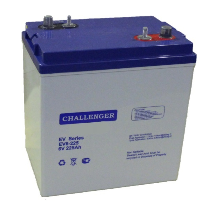 Аккумуляторная батарея Challenger EV6-225 