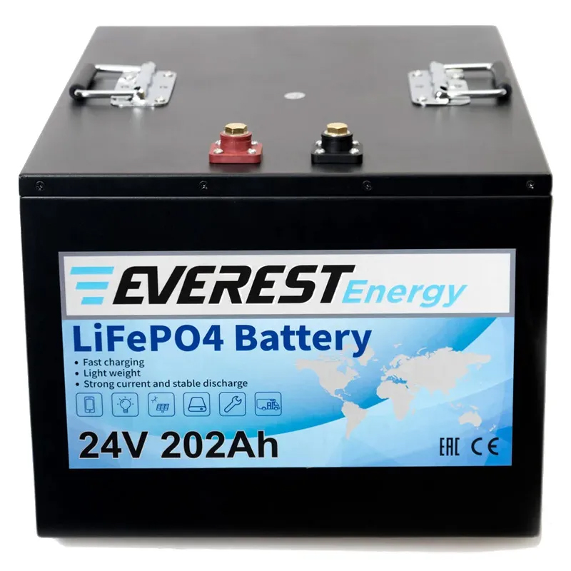 Тяговый литиевый аккумулятор EVEREST LFP-24V202Аh 