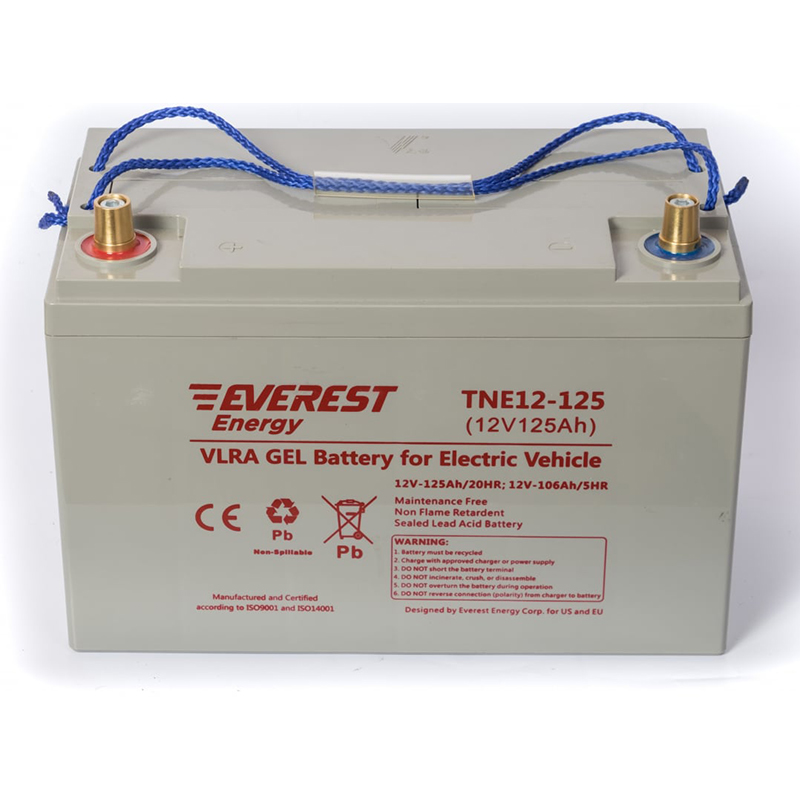 Тяговый гелевый аккумулятор EVEREST Energy TNE 12-125 